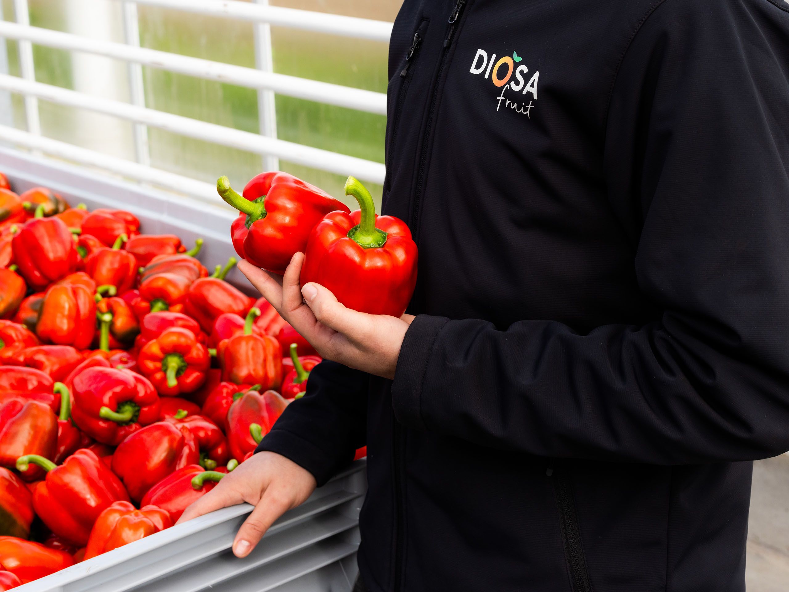 Oostland Company paprika's met karakter